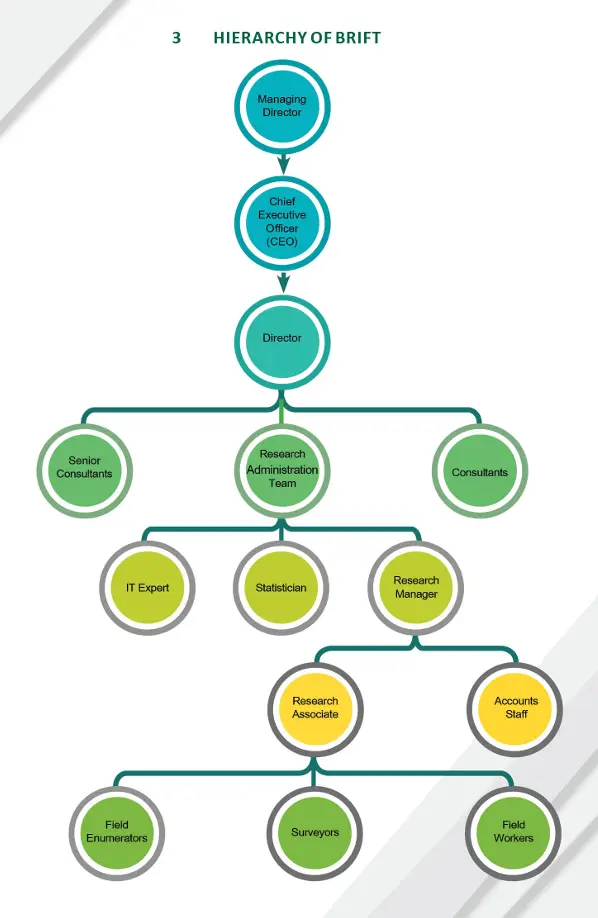 BRiFT Organizational Structure